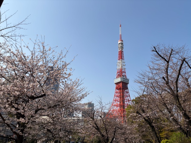 子連れ大優勝！芝公園×東京タワー親子で1日楽しむ最強お出かけコース
