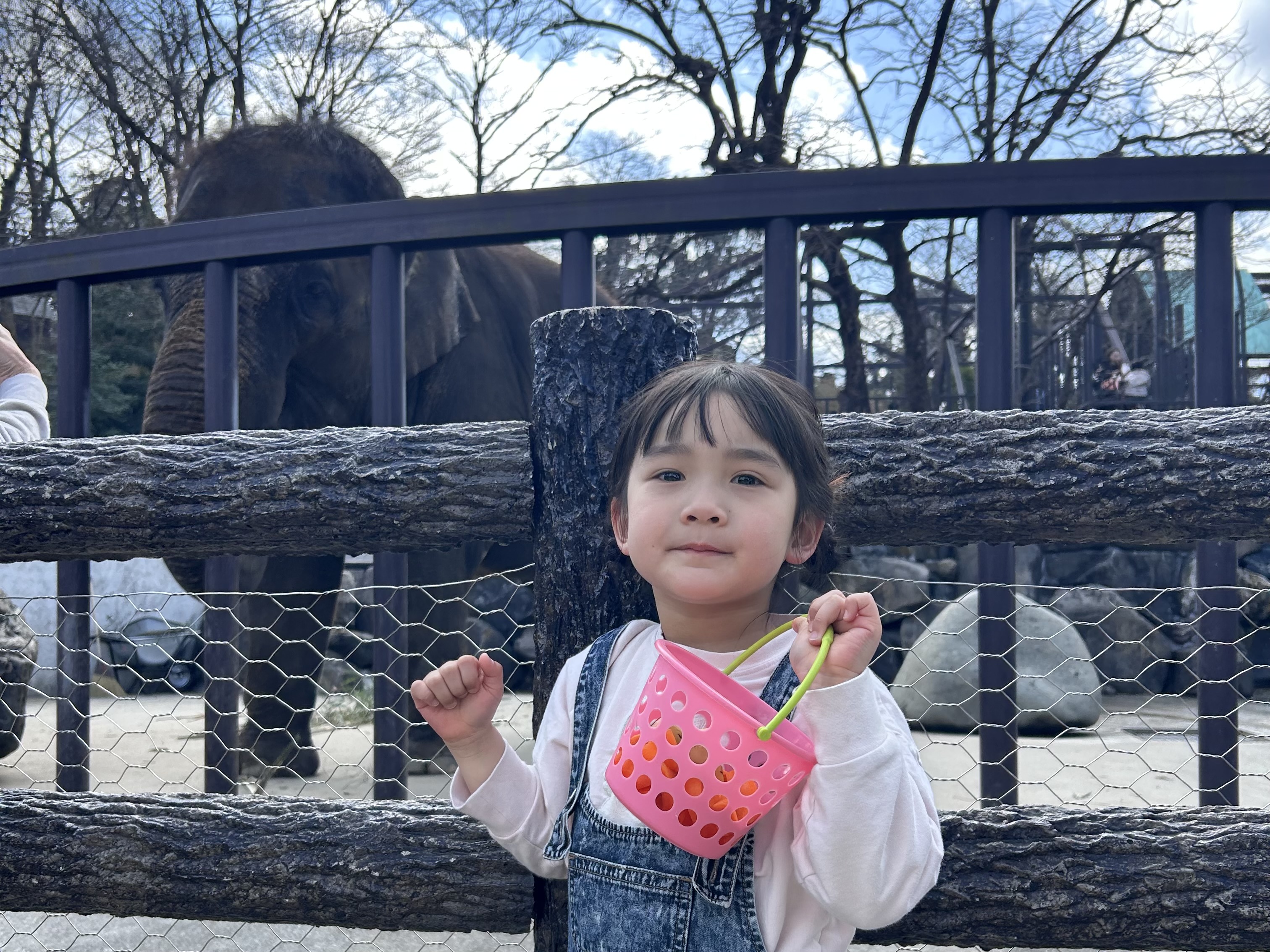 【体験レポ】4歳児と行く！市原ぞうの国は想像以上にすごかった！