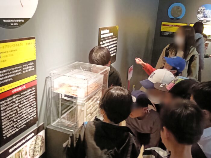 【6/14まで】小学生男子が大興奮！「超危険生物展」混雑・所要時間・寄り道スポット完全ガイド