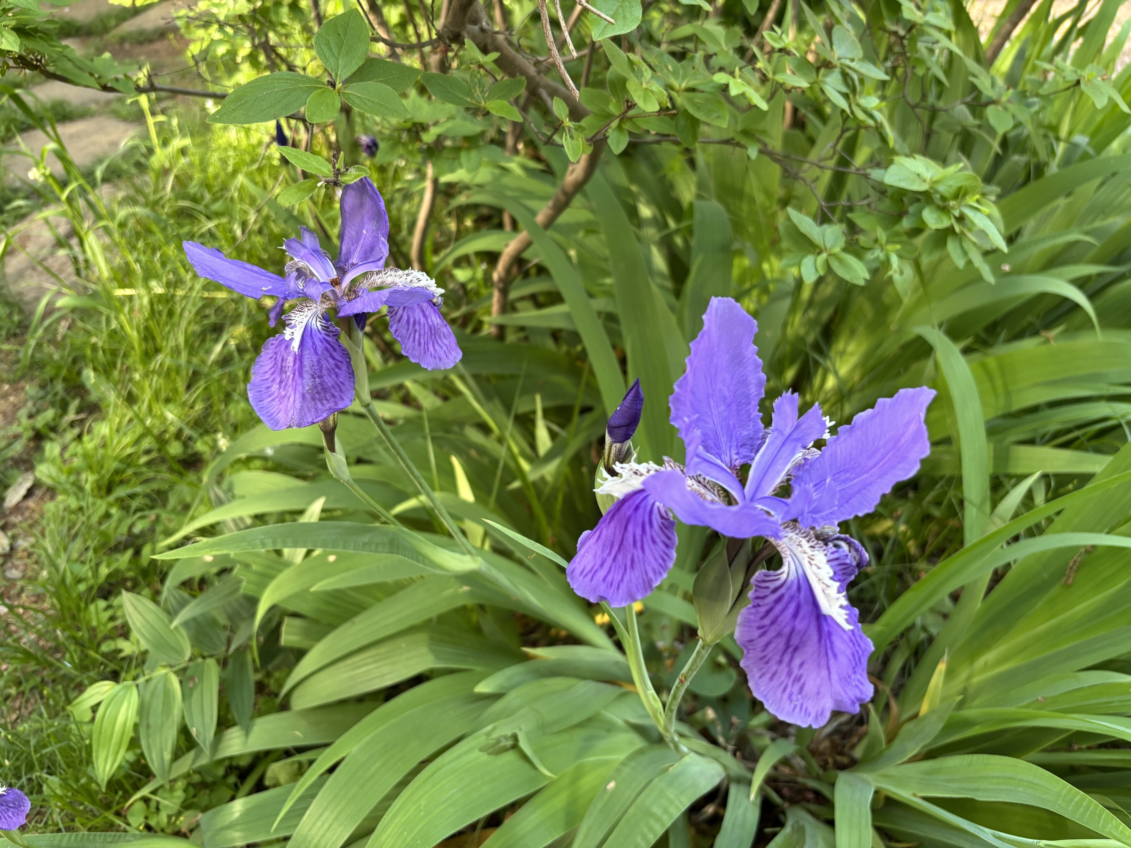 親子で楽しむ春のピクニックは、この場所、この手作りサンドが大正解だった！