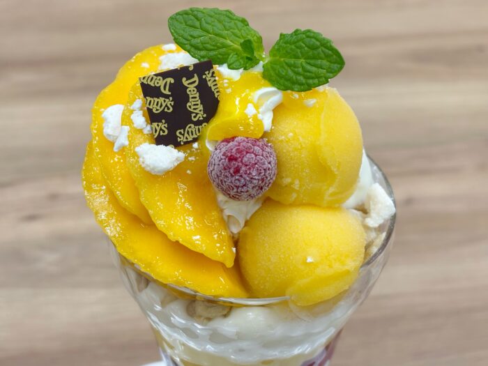 ファミリーニュース