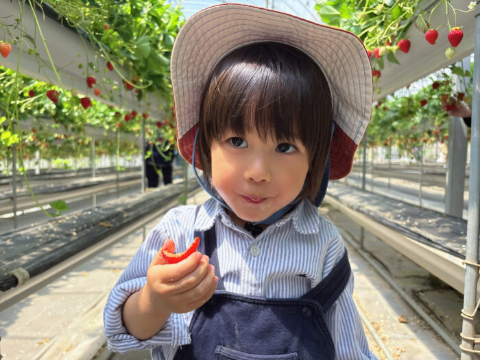 食育って何するの？2児ママが実践するわが家のリアル食育