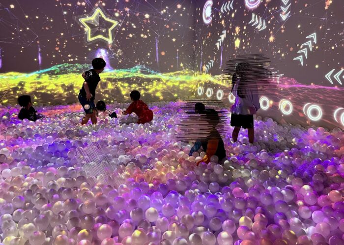 【未就学児無料・小学生100円】こどもふっかパークが楽しすぎた！（埼玉県深谷市）