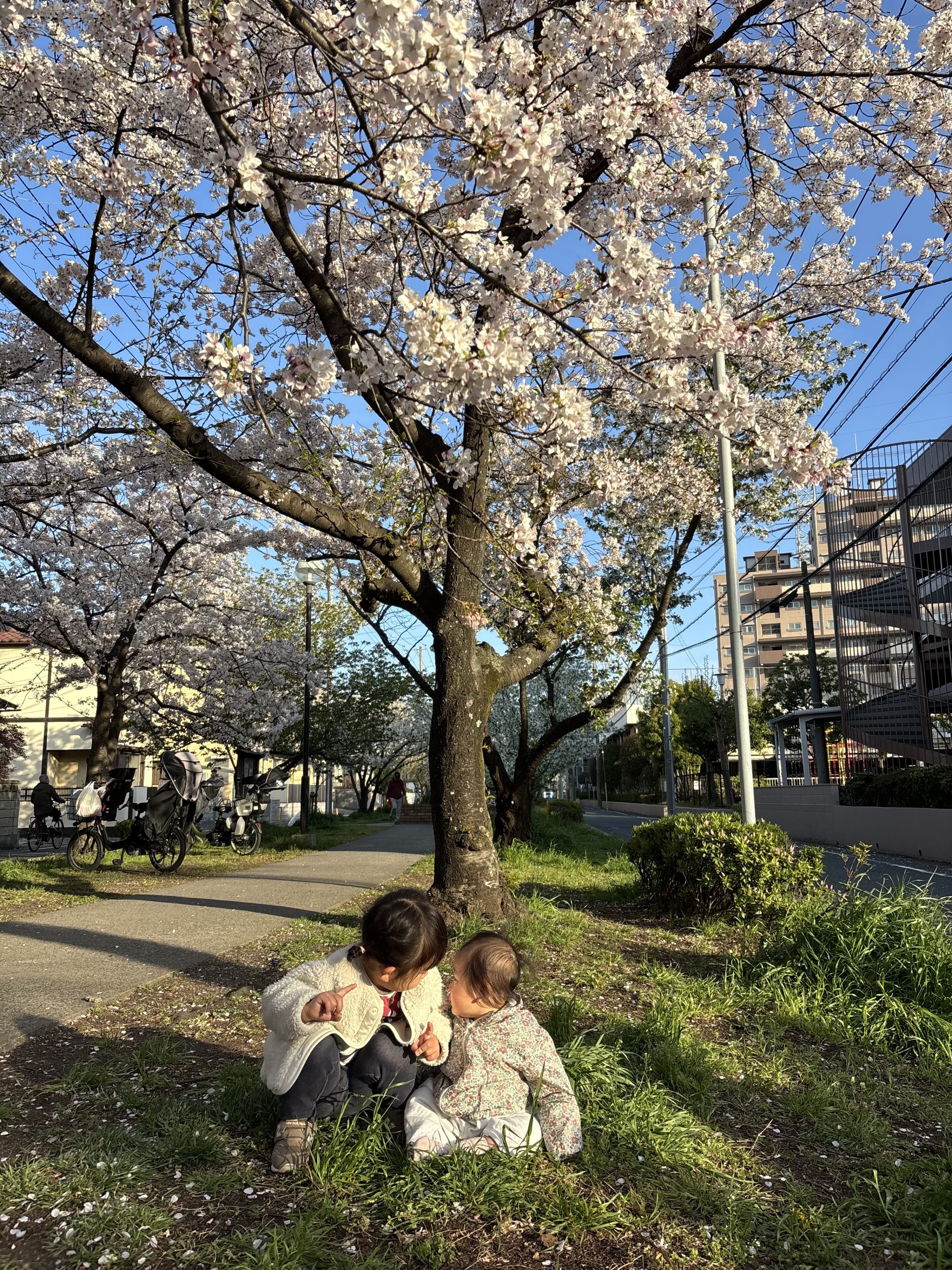 0歳次女の蒙古斑に悩んだ私を救った、2歳長女の言葉とは