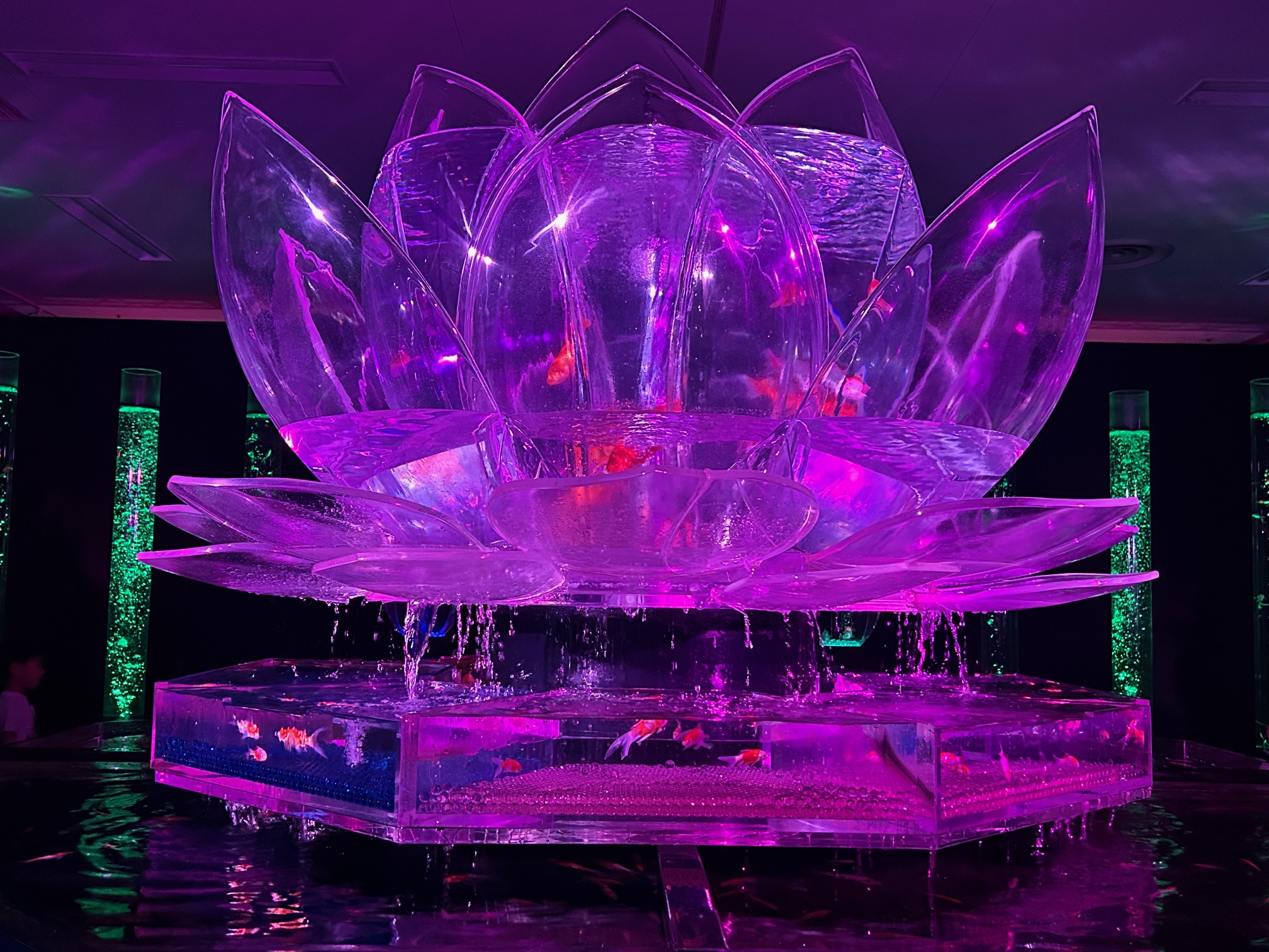 親子で楽しめる！金魚たちの幻想的空間 【アートアクアリウム展 さいたまスーパーアリーナ】GWのおでかけにぴったり◎
