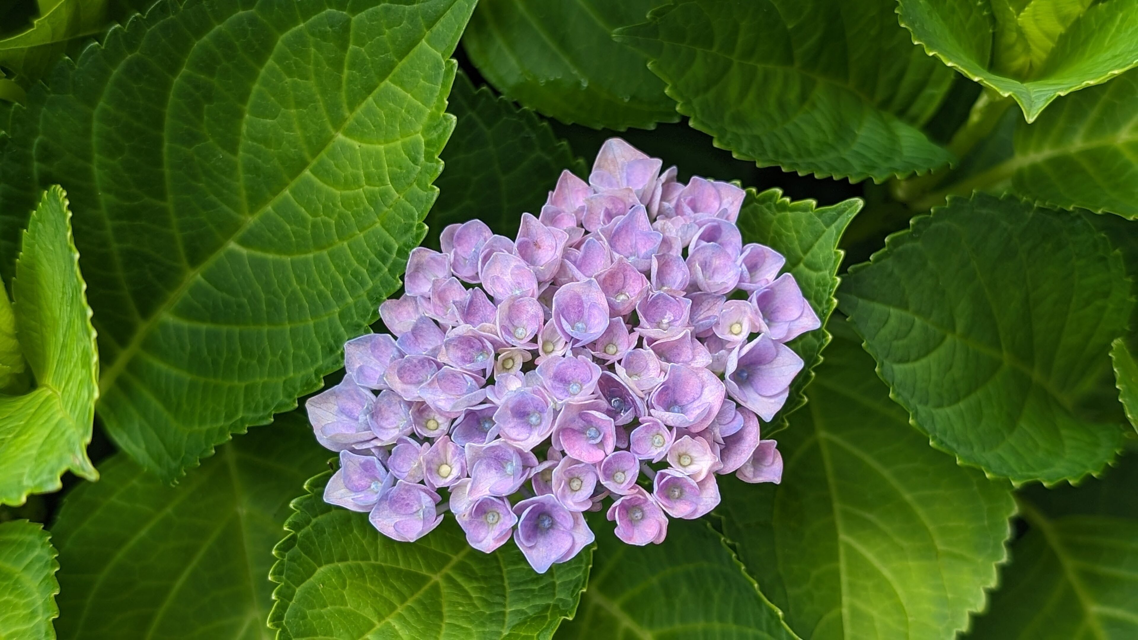 雨の日しかできない？！5歳息子の行動に親子で爆笑した理由