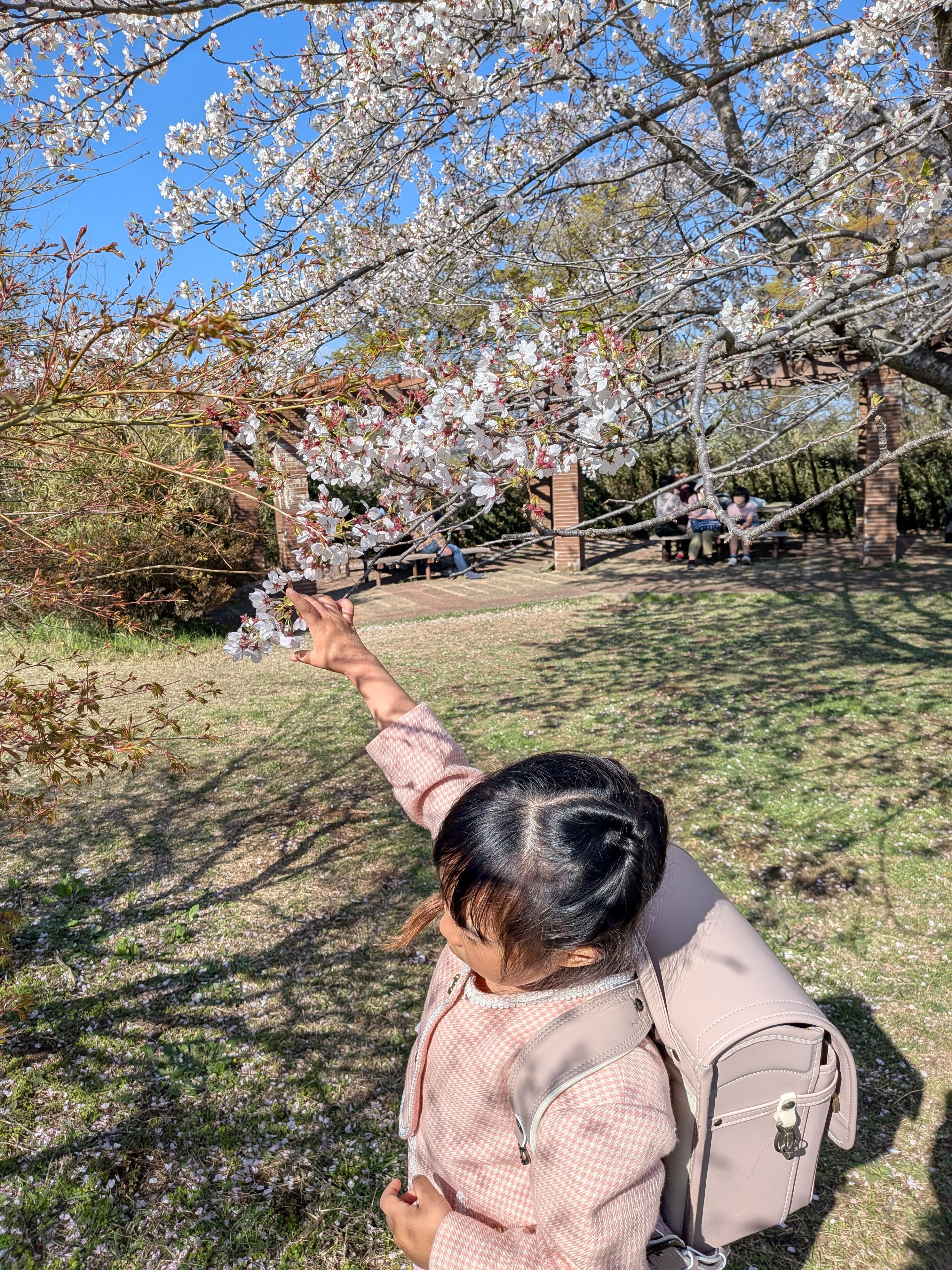 「肩痛い…暑い…」が解決！これ買いました新1年生