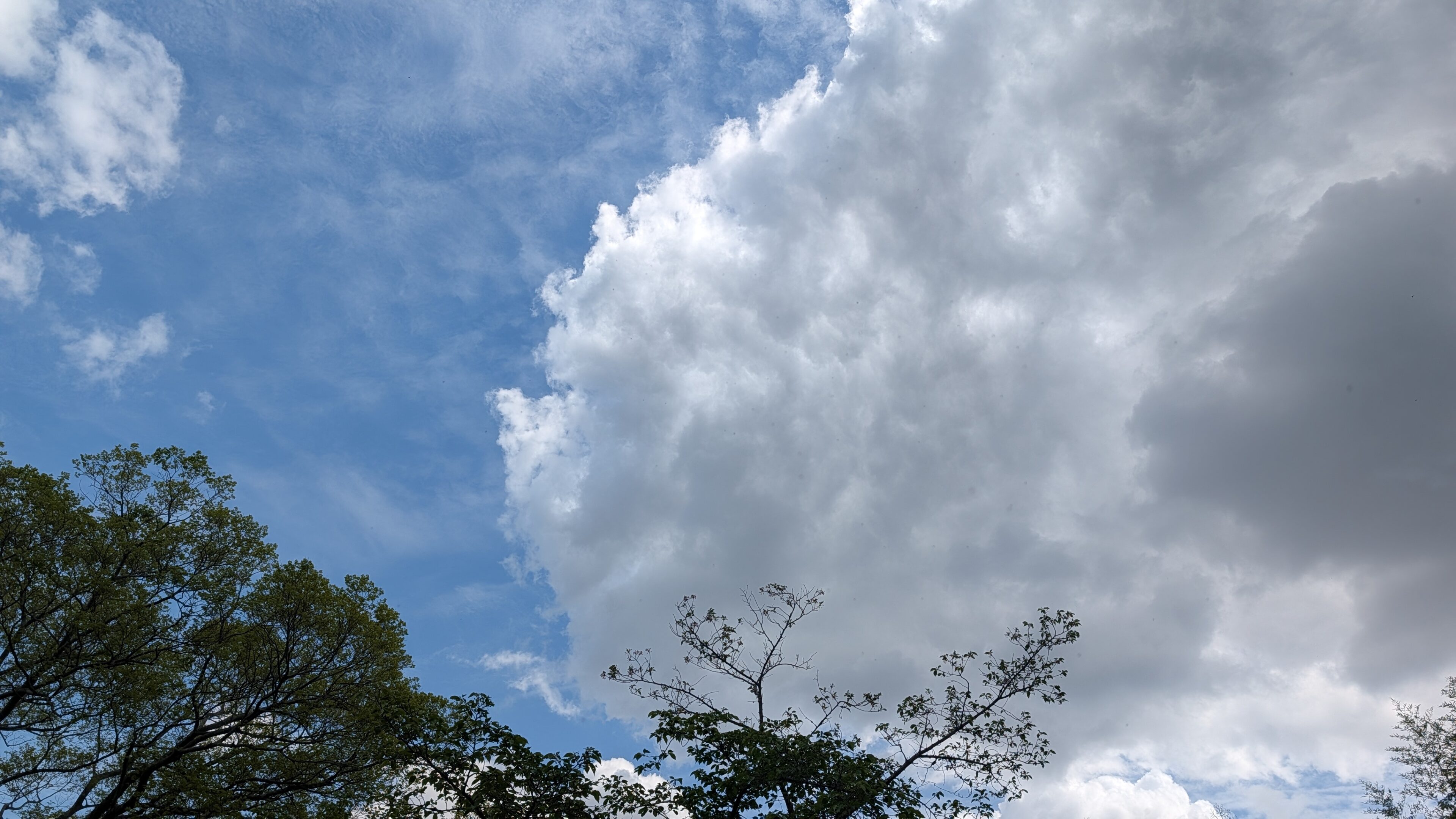 「どうした？」公園で母が1人で不審な動き…そのまさかの理由