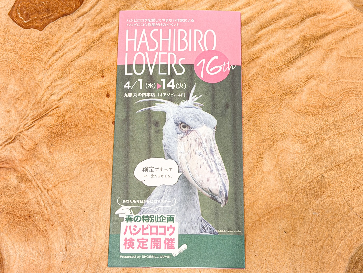 【丸の内・子連れレポ】「動かない鳥」に親子で夢中！限定グッズと激ムズ検定が楽しめる「ハシビロラヴァーズ」