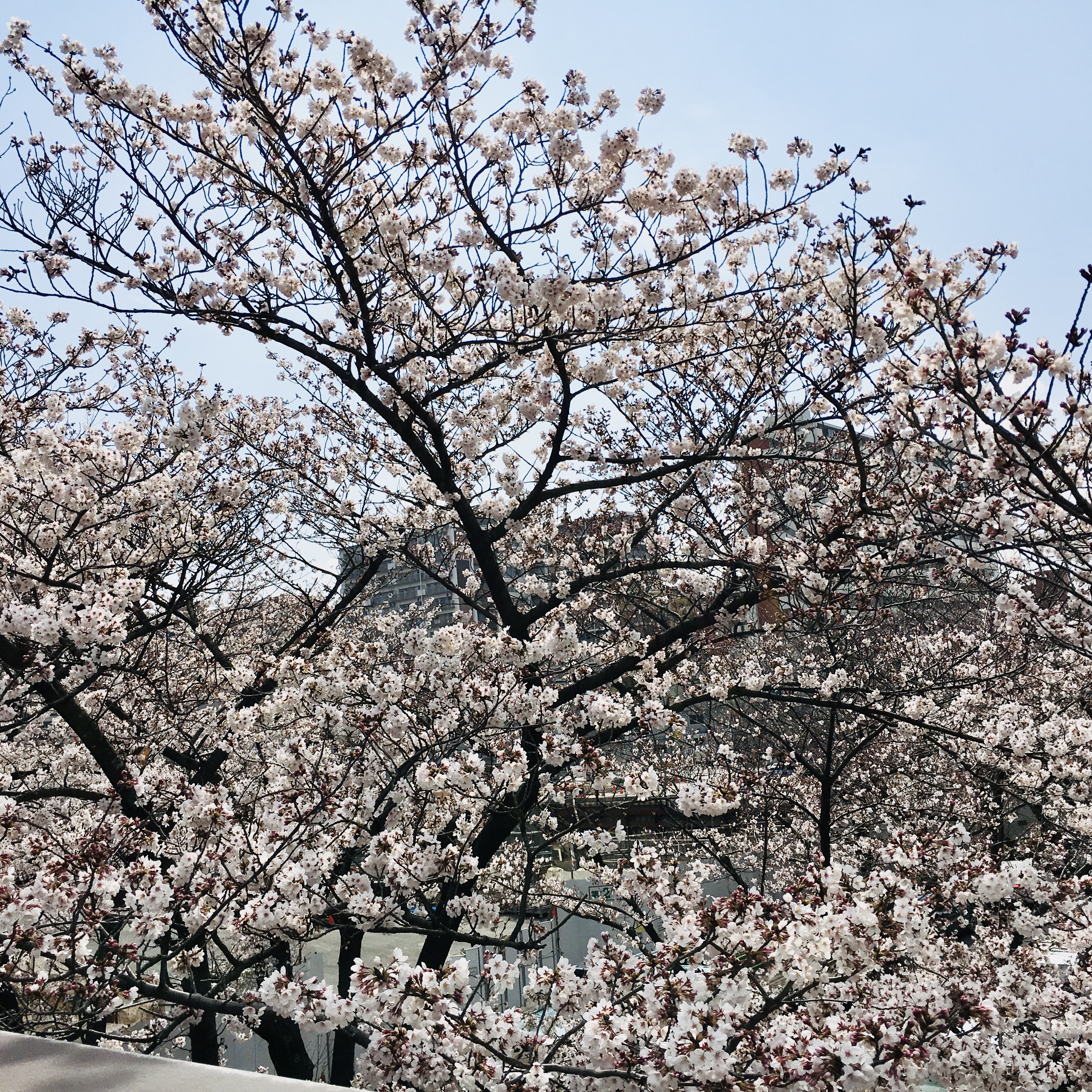 辛すぎる!慣らし保育で心折れてしまったママへ…保育士からお伝えしたいメッセージ