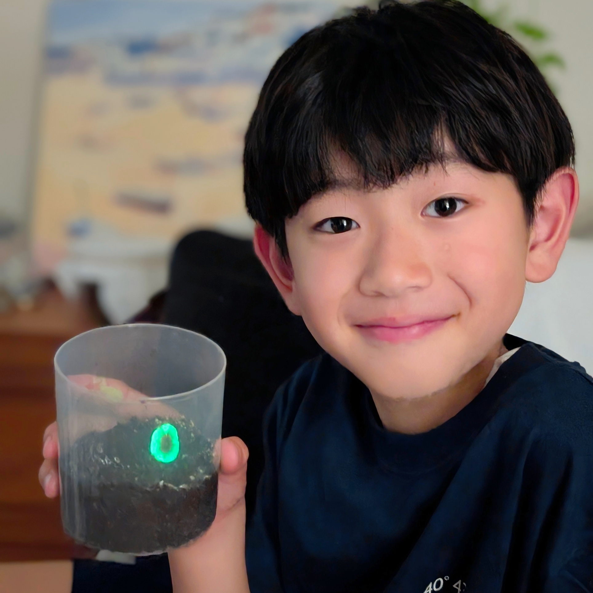 本当に光った！家で育てる“光るきのこ”に子どもが大興奮