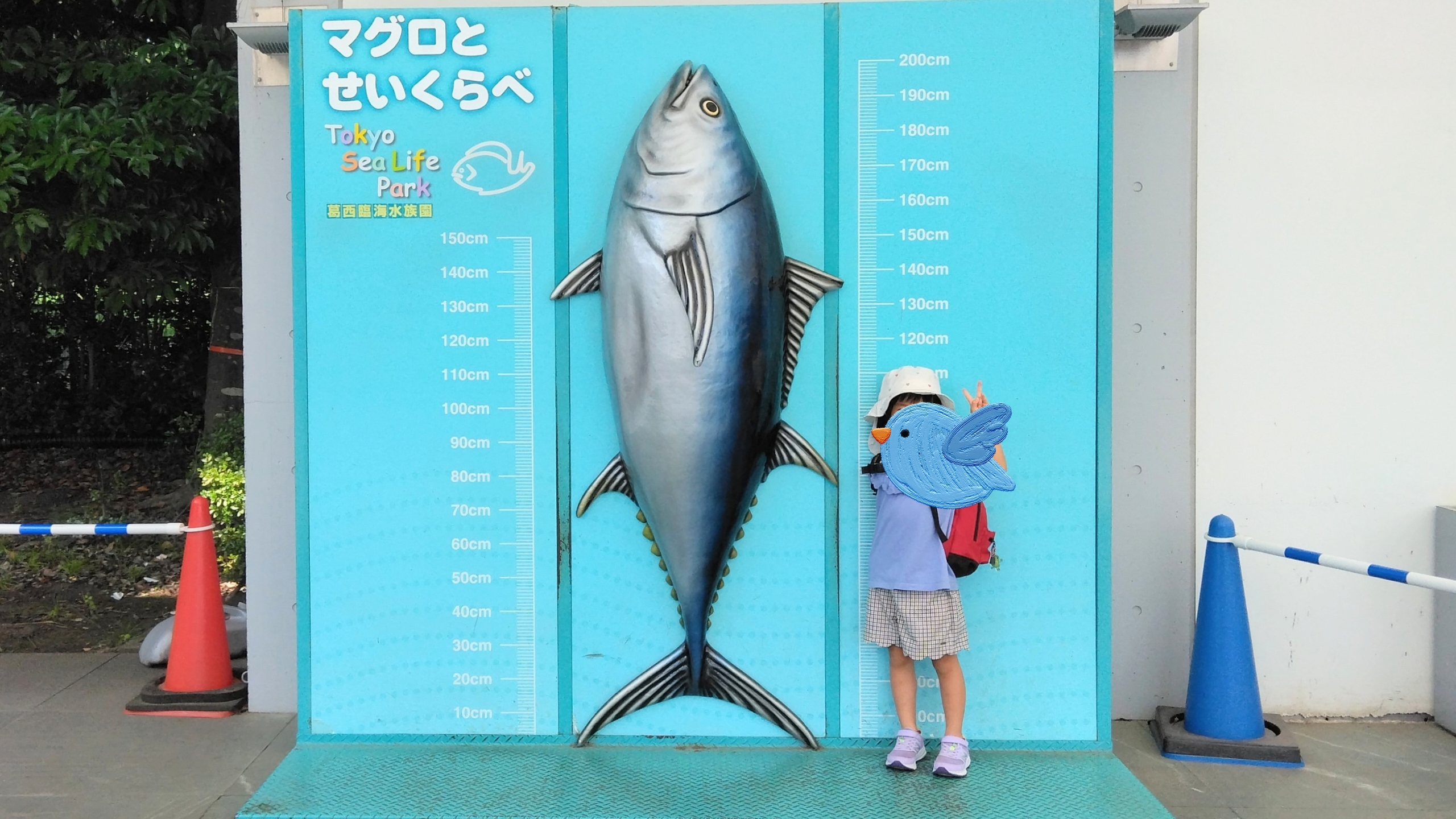 あと80日！夏休みに向けてやっておきたい準備3選 わたしの節約＆計画術