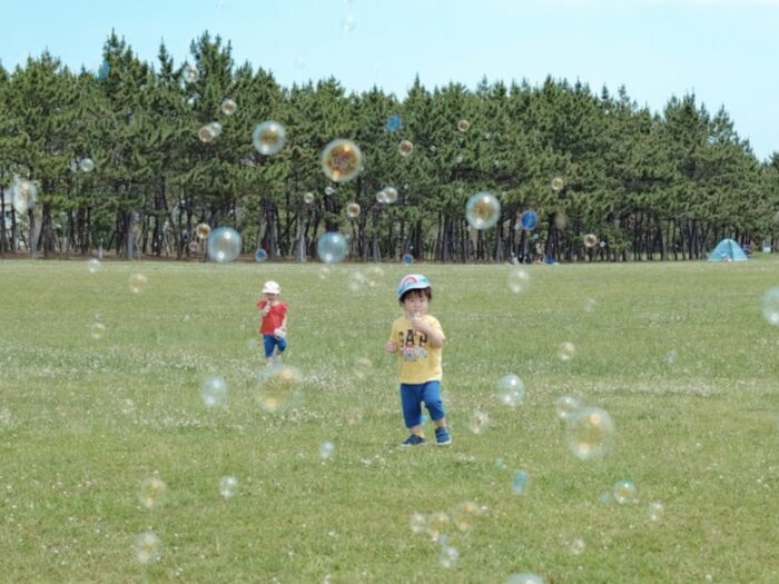 【関東】広くてきれい！行ってよかった自然いっぱいの都市部の公園3選