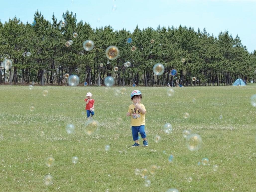 【関東】広くてきれい!行ってよかった自然いっぱいの都市部の公園3選