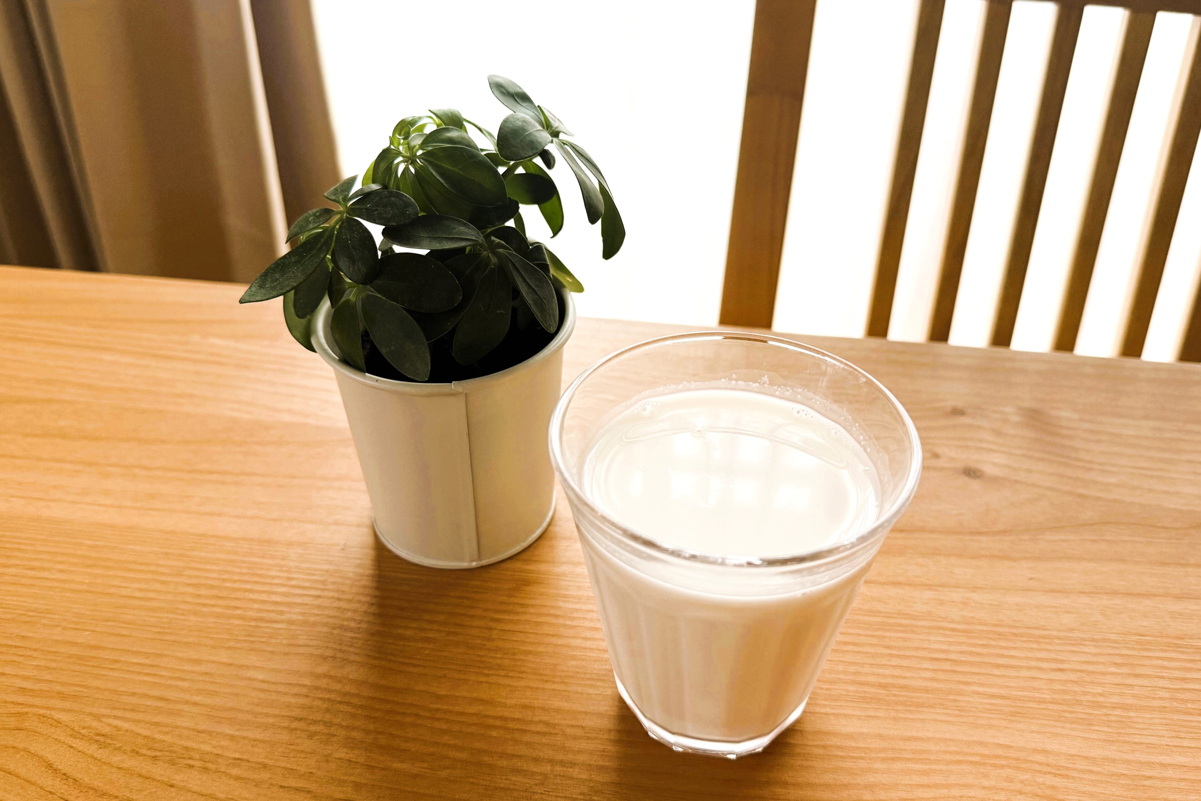 内側からの手軽な紫外線対策に。私は“ドリンク活”も始めてみました