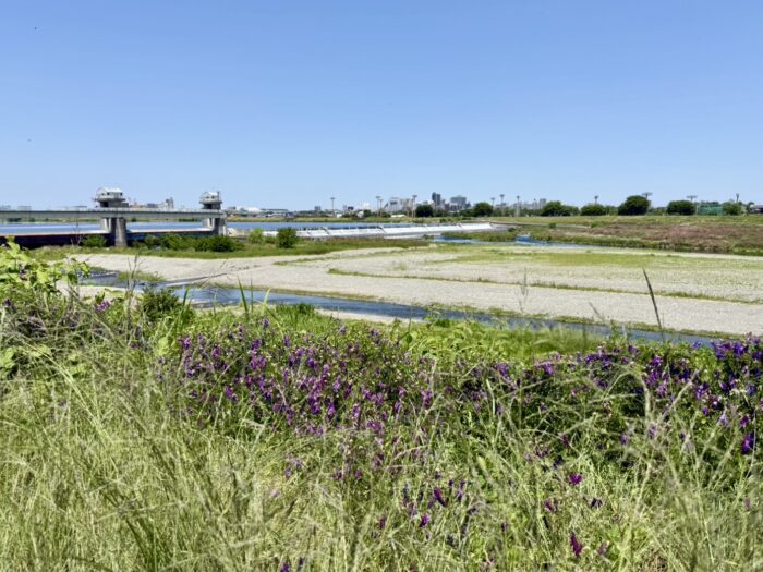 “寄り道”が大正解だった理由【多摩川サイクリングロード】
