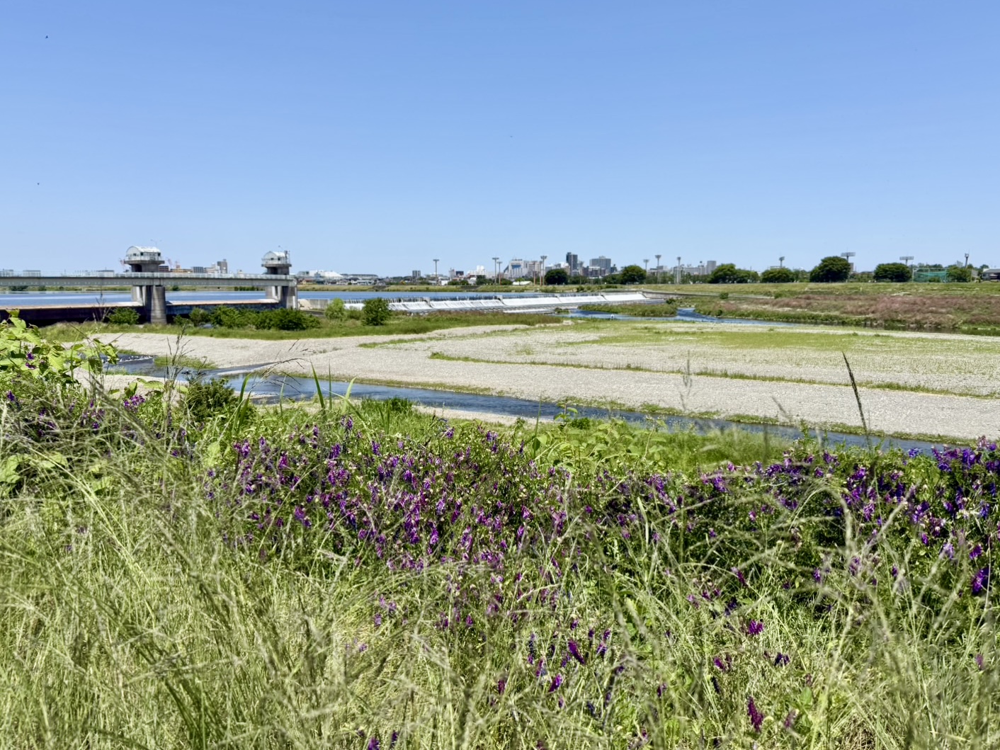“寄り道”が大正解だった理由【多摩川サイクリングロード】