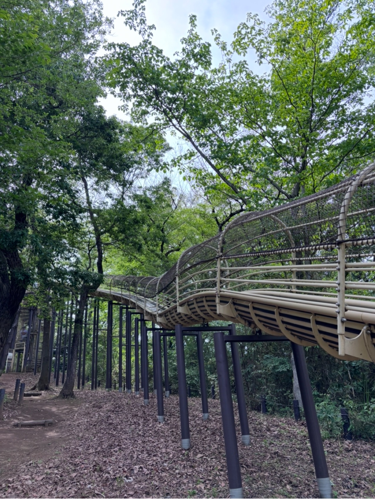 【神奈川】入園料も駐車場も全部無料！めっちゃ長いロング滑り台も無料！