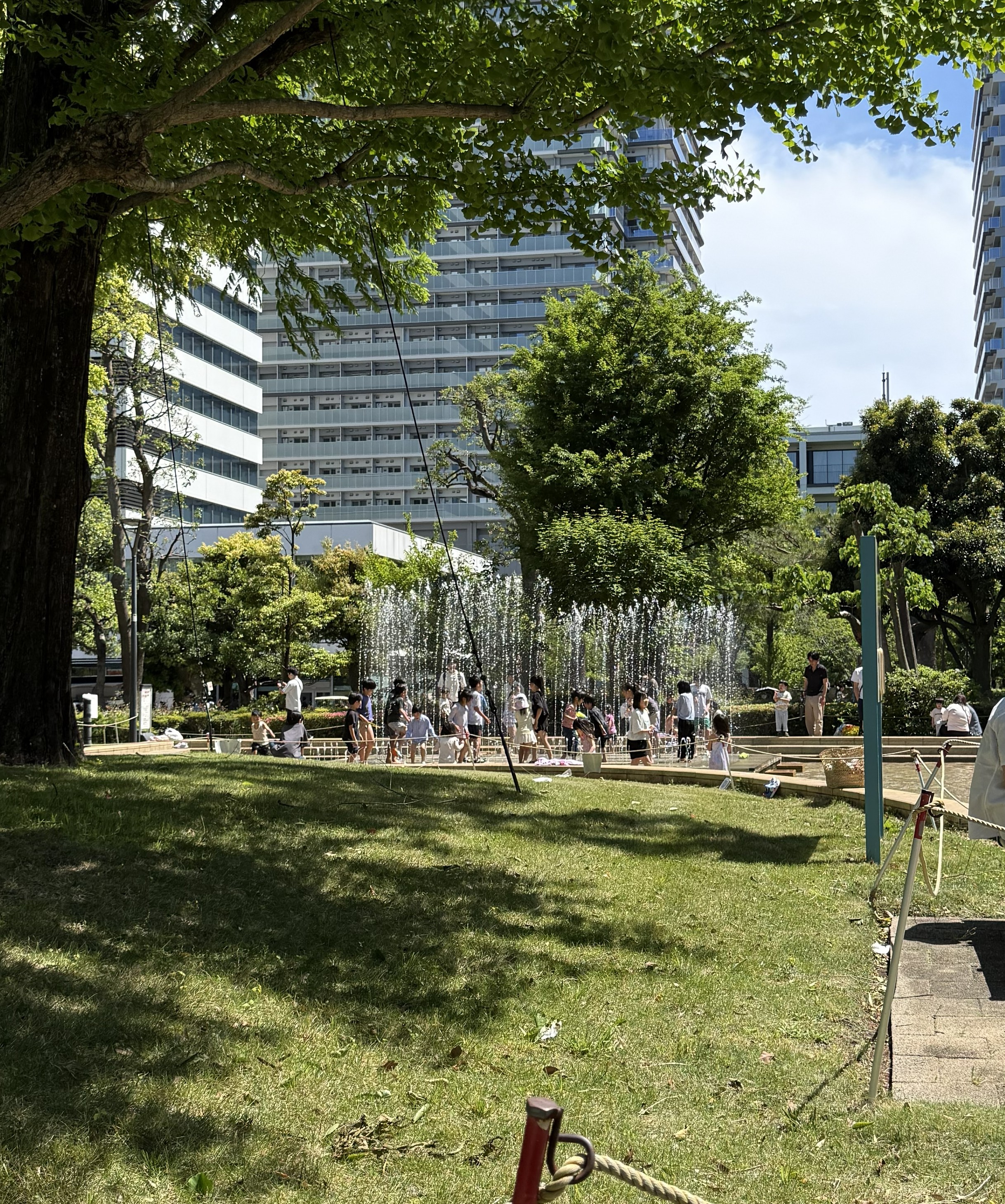 【都内レポ】4児ワンオペでも安心！中野四季の森公園「池流れ」