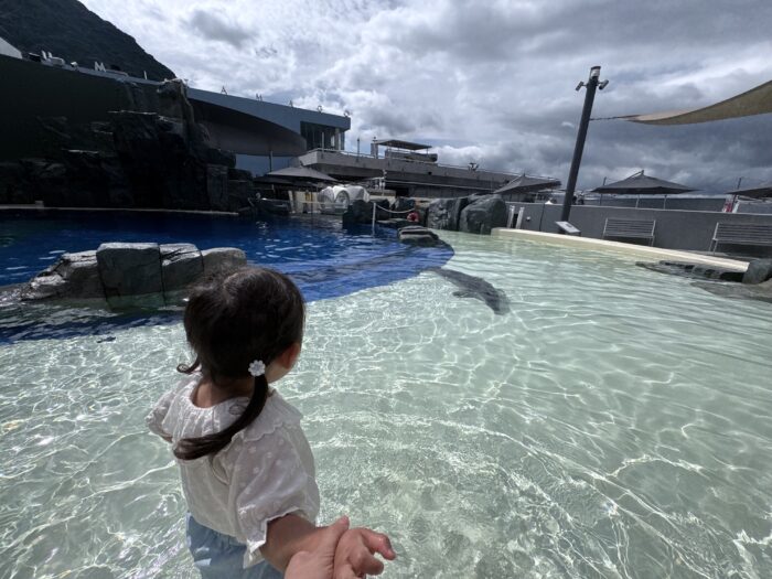イルカやペンギンなどと同じプールに入れる！オットセイとハグもできるキッズ天国な水族館に行ってきた！