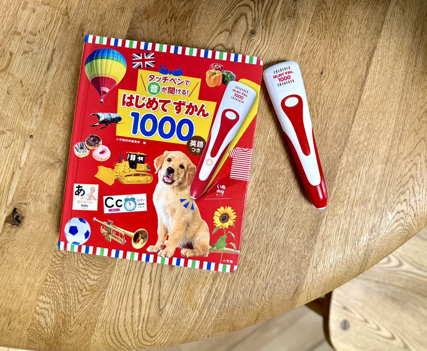 ほとんど使わず、買って失敗かと思いきや…6歳になっても『はじめてずかん1000』が現役のわけ