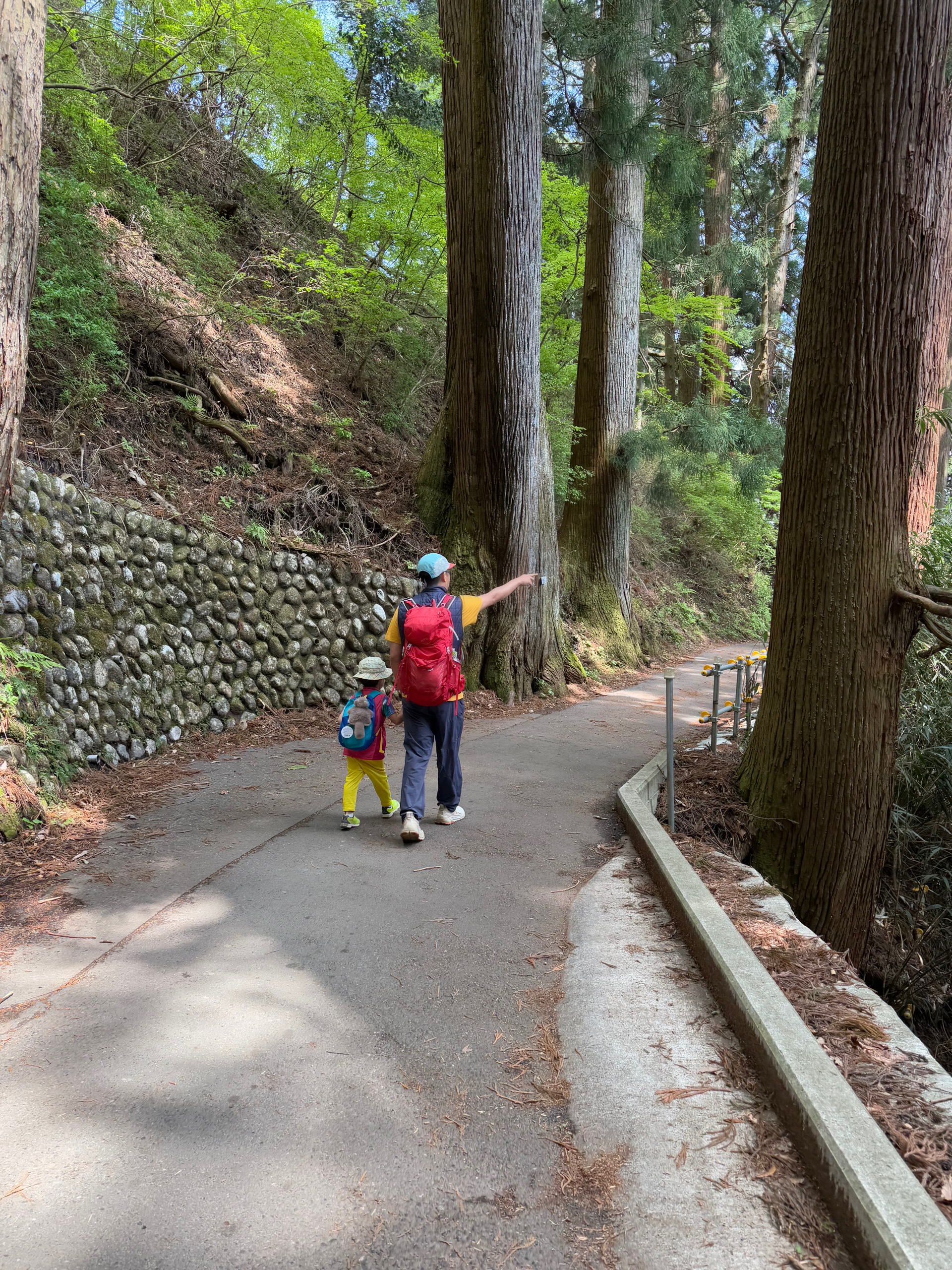 「ママのことは、目と眉毛しか好きじゃない」息子の言葉と行動が一致しない件について