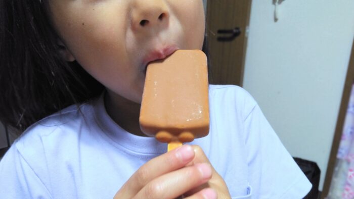 夏のアイス代を抑えたい。わが家で定着した「冷凍室の3択ルール」