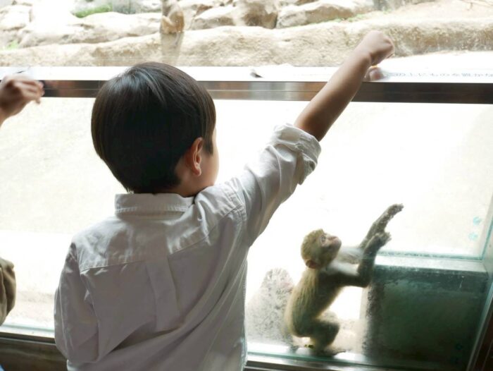【東武動物公園】遊園地も動物園も！欲張り親子のおでかけレポ
