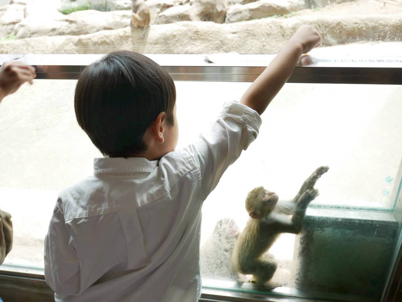 【東武動物公園】遊園地も動物園も！欲張り親子のおでかけレポ
