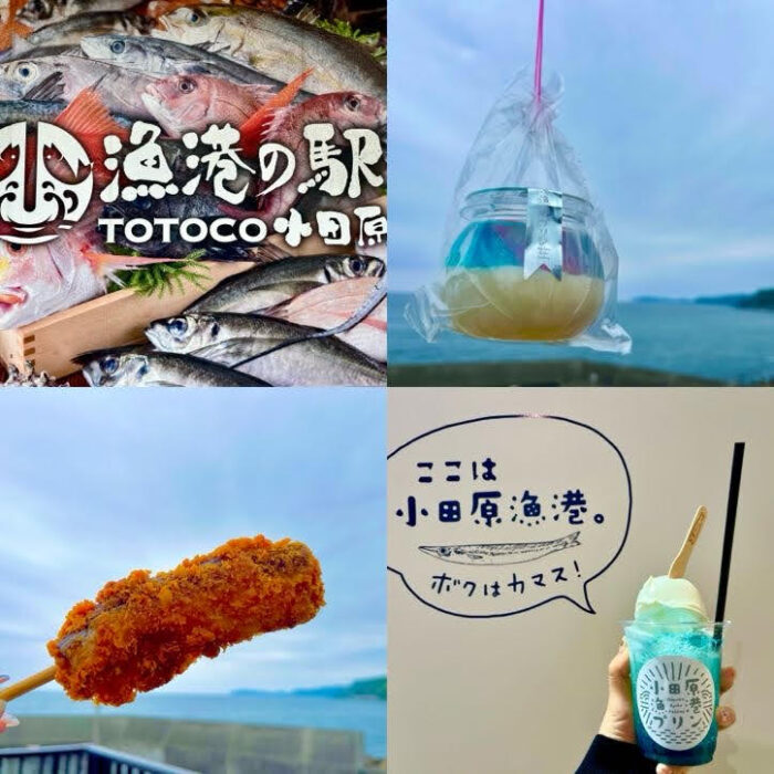 【TOTOCO小田原】海鮮丼だけじゃない！グルメにお土産に満喫レポ