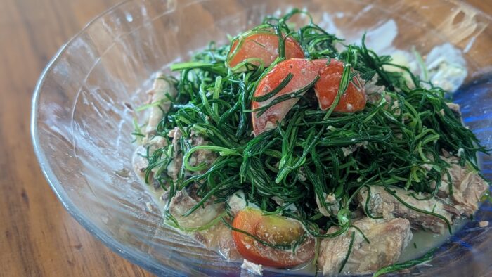 おかひじきって知ってる？サバ缶で作る超簡単サラダレシピ！