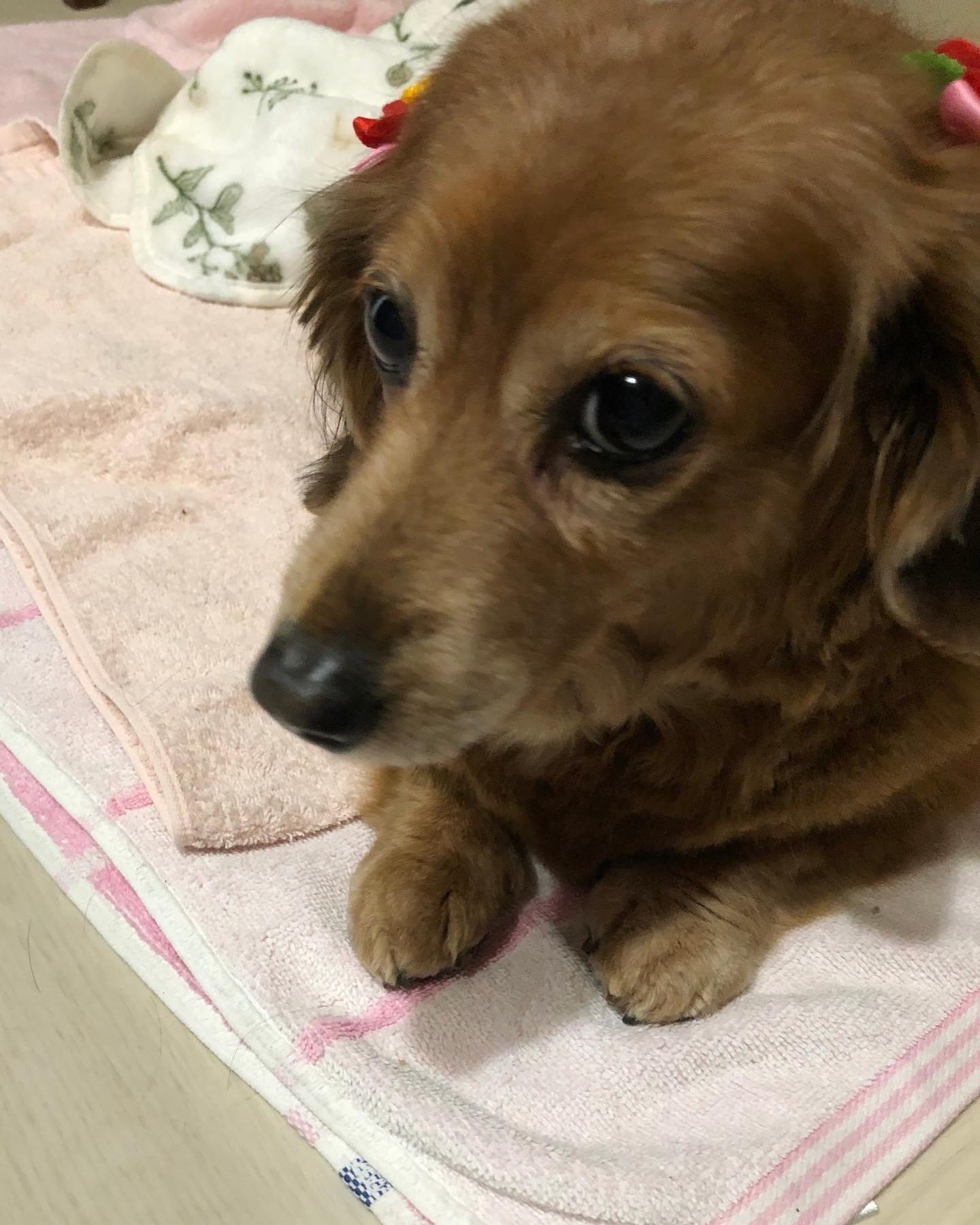 動画時間に悩んだ私がたどり着いた、我が家なりのルール