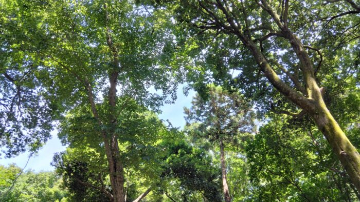 「気持ち悪い」が口癖の6歳長女。劇団ひとりさんの言葉で、親の見方が変わった話