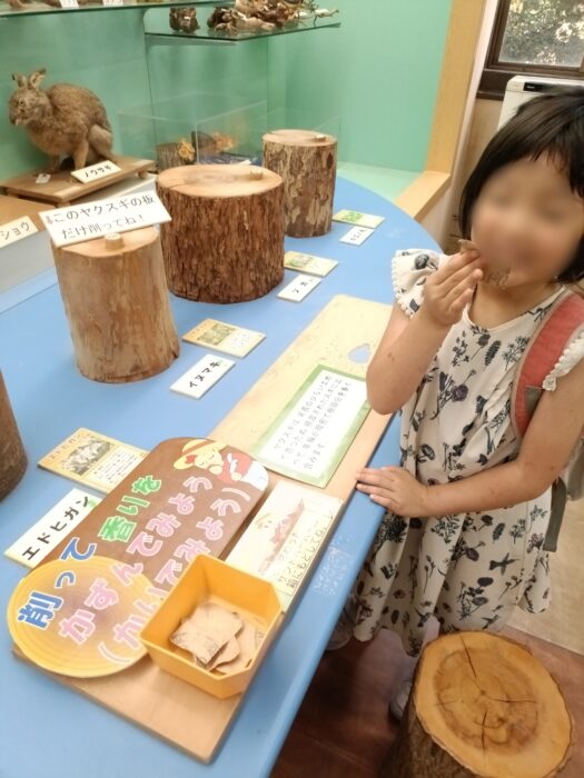 【入館無料】天文館から徒歩約5分！子どもが夢中になった「鹿児島県立博物館」は雨の日観光にもおすすめ