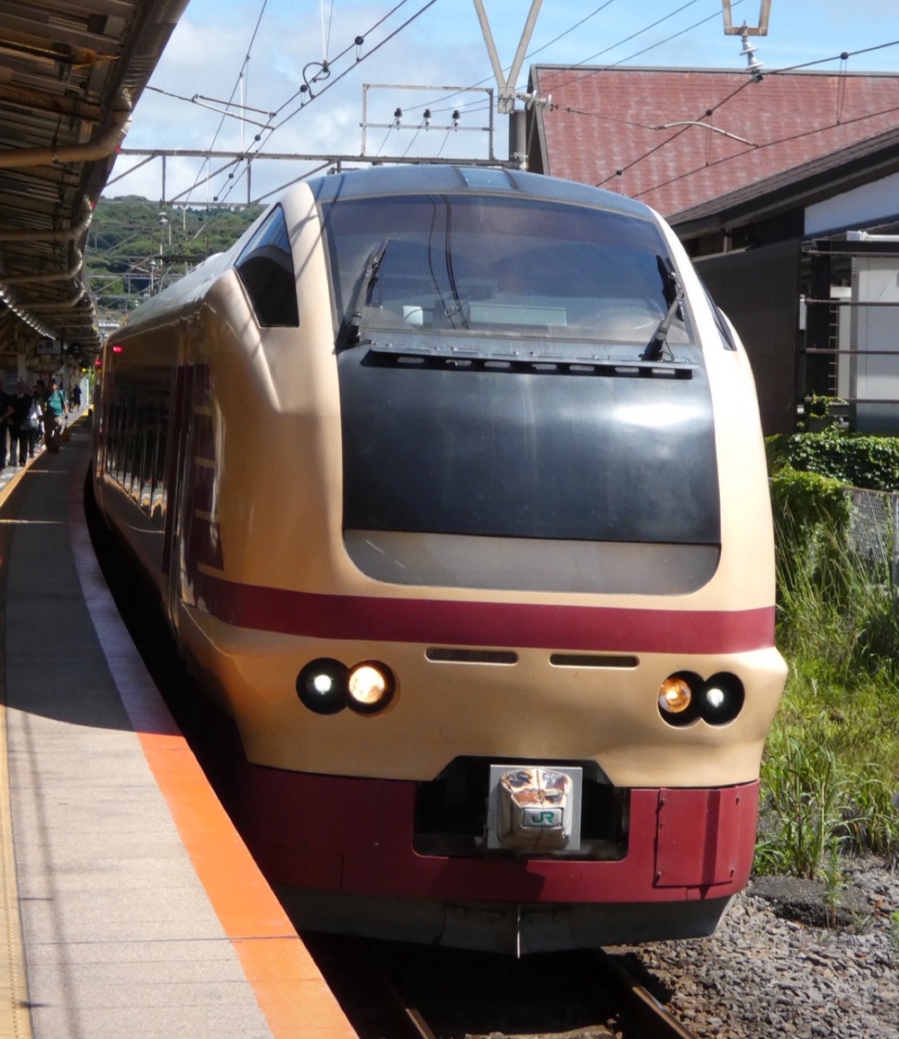 こりゃ楽だぁ〜◎乗り換え無し！レアな車両で、埼玉から鎌倉へ行けちゃう！