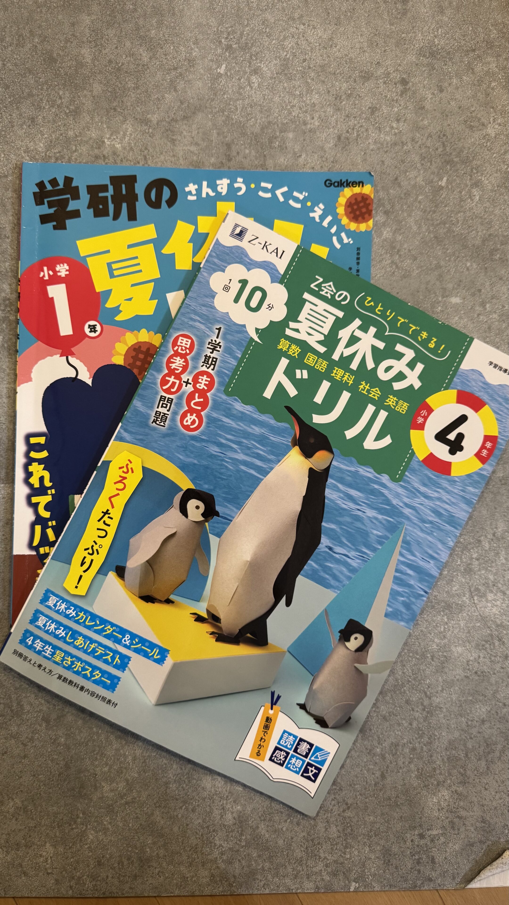 小学生の夏休みドリルの進捗状況が正反対だった