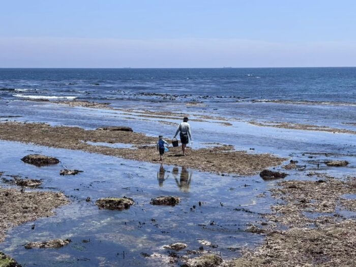 都会から田舎へ。自然豊かな場所へ引っ越して変わったわが家の夏休みの過ごし方