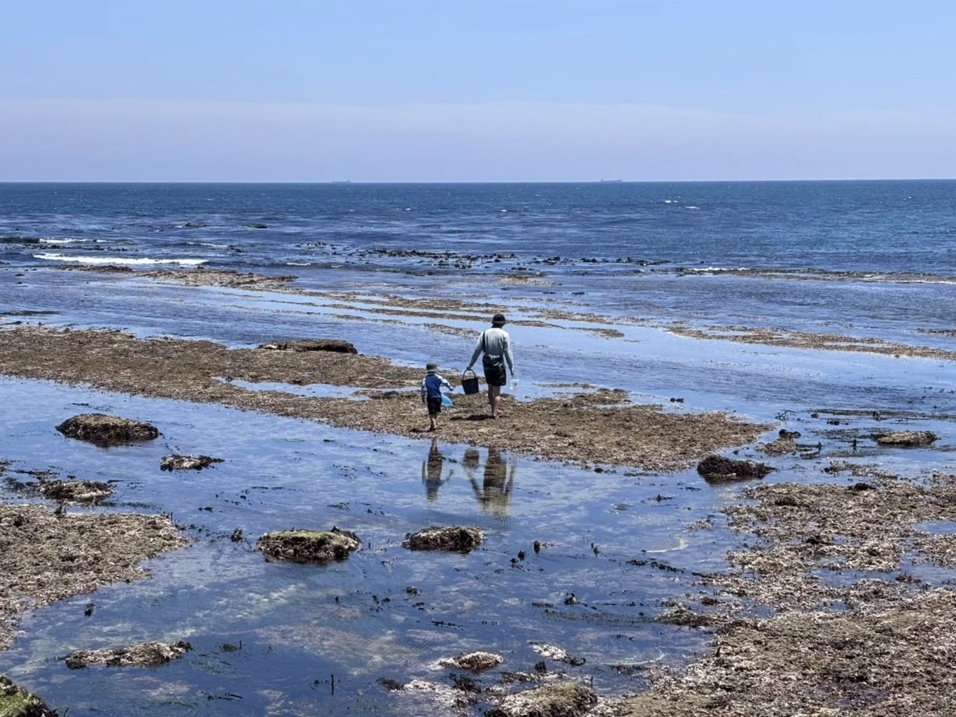 都会から田舎へ。自然豊かな場所へ引っ越して変わったわが家の夏休みの過ごし方