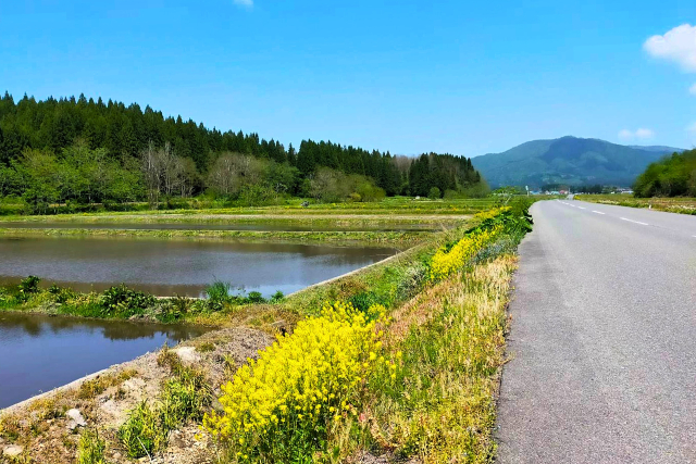 え、明日から？生活道路の“30キロ”を知っていますか？子どものいる家庭こそ知っておきたい交通ルール