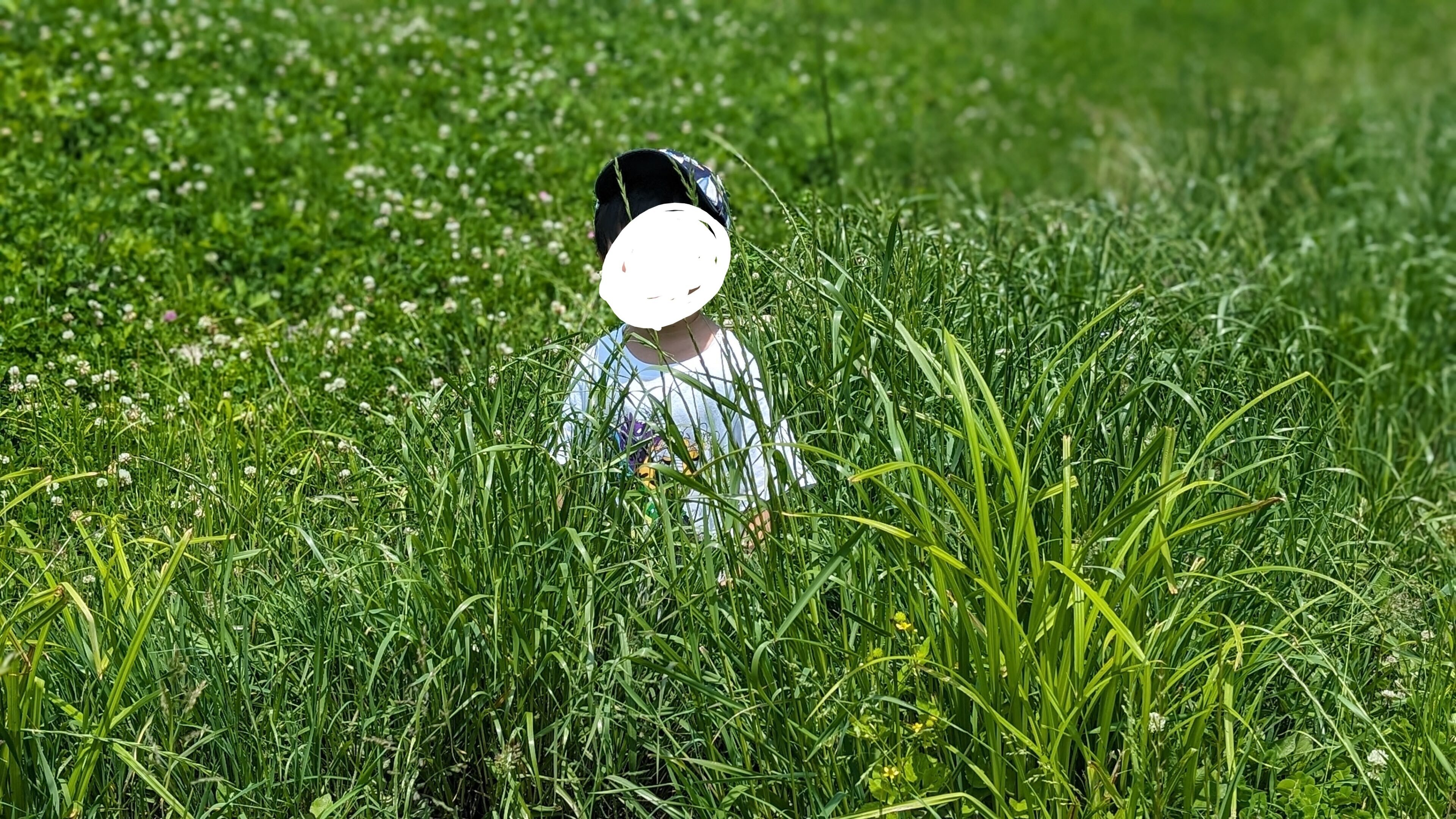 庭の雑草を放置しないで!思わず2度見…夏の昼下がりにゾッとした光景とは