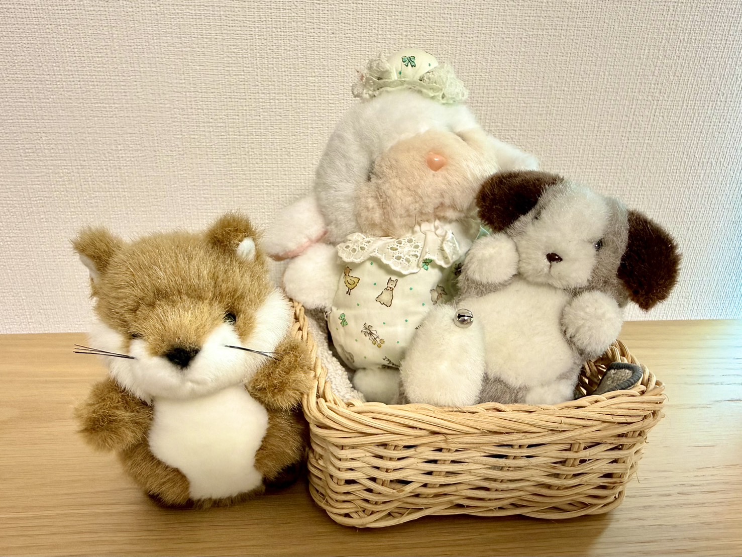 グッジョブ！あの頃の私。子どもの頃の宝もの「たけのこ」のぬいぐるみが今もかわいすぎる