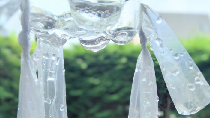 見逃すまい！子どもも立ち止まる「じっと見つめる」気分転換