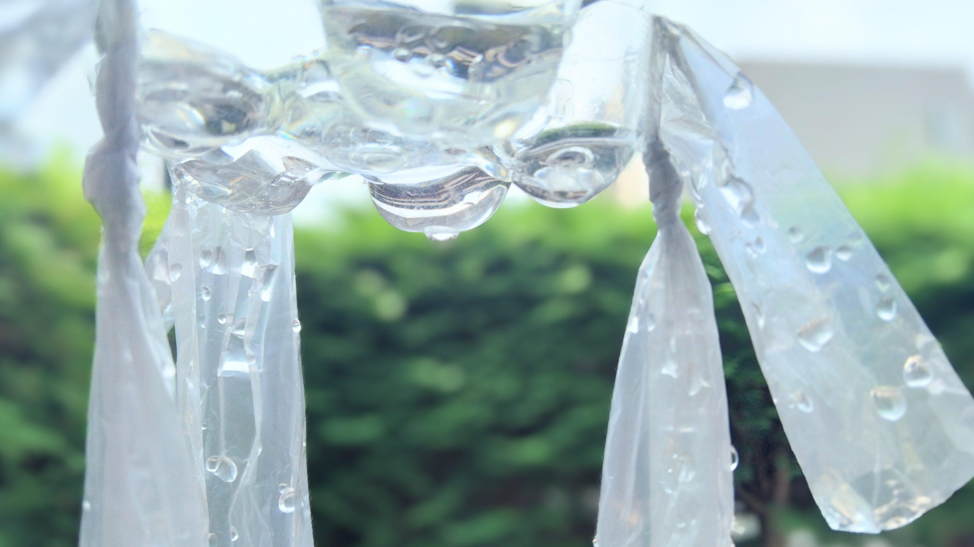 見逃すまい！子どもも立ち止まる「じっと見つめる」気分転換