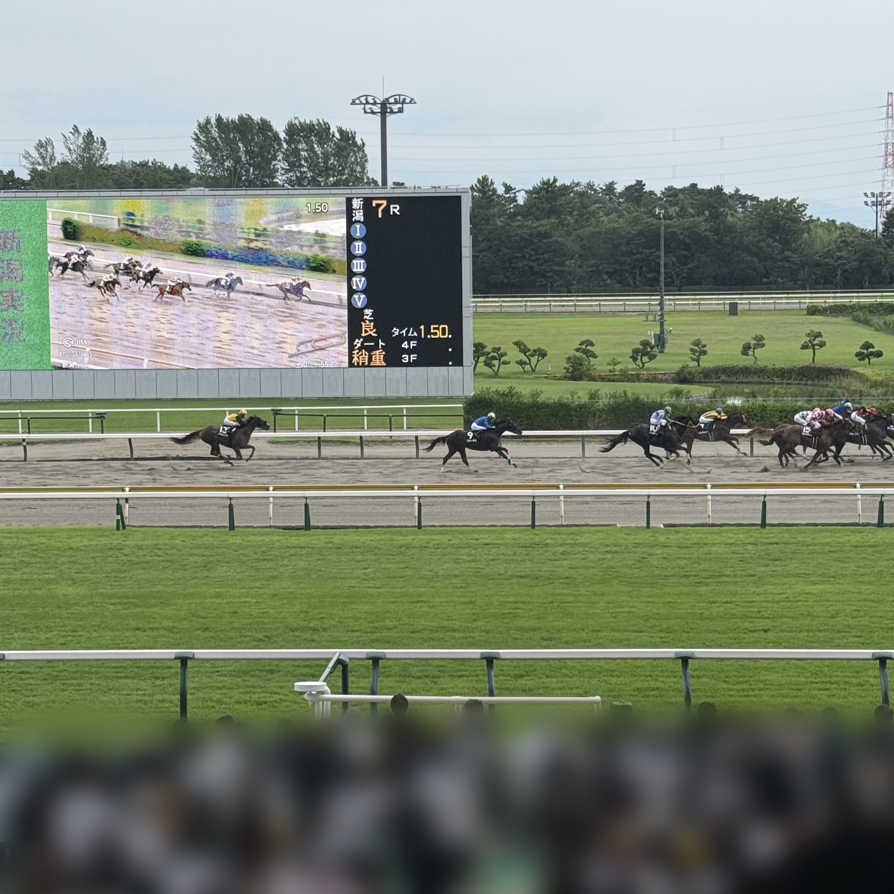 久しぶりに夫の推し活へ!新潟競馬場に行ってきました