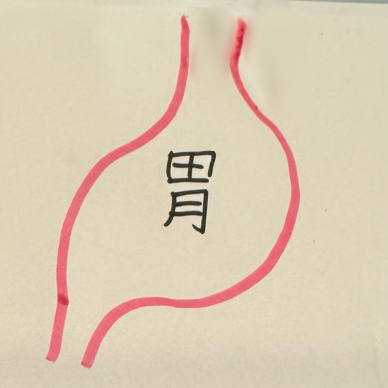 【胃カメラ】喉の麻酔が苦手…喉の麻酔なしで検査したらどうなる?