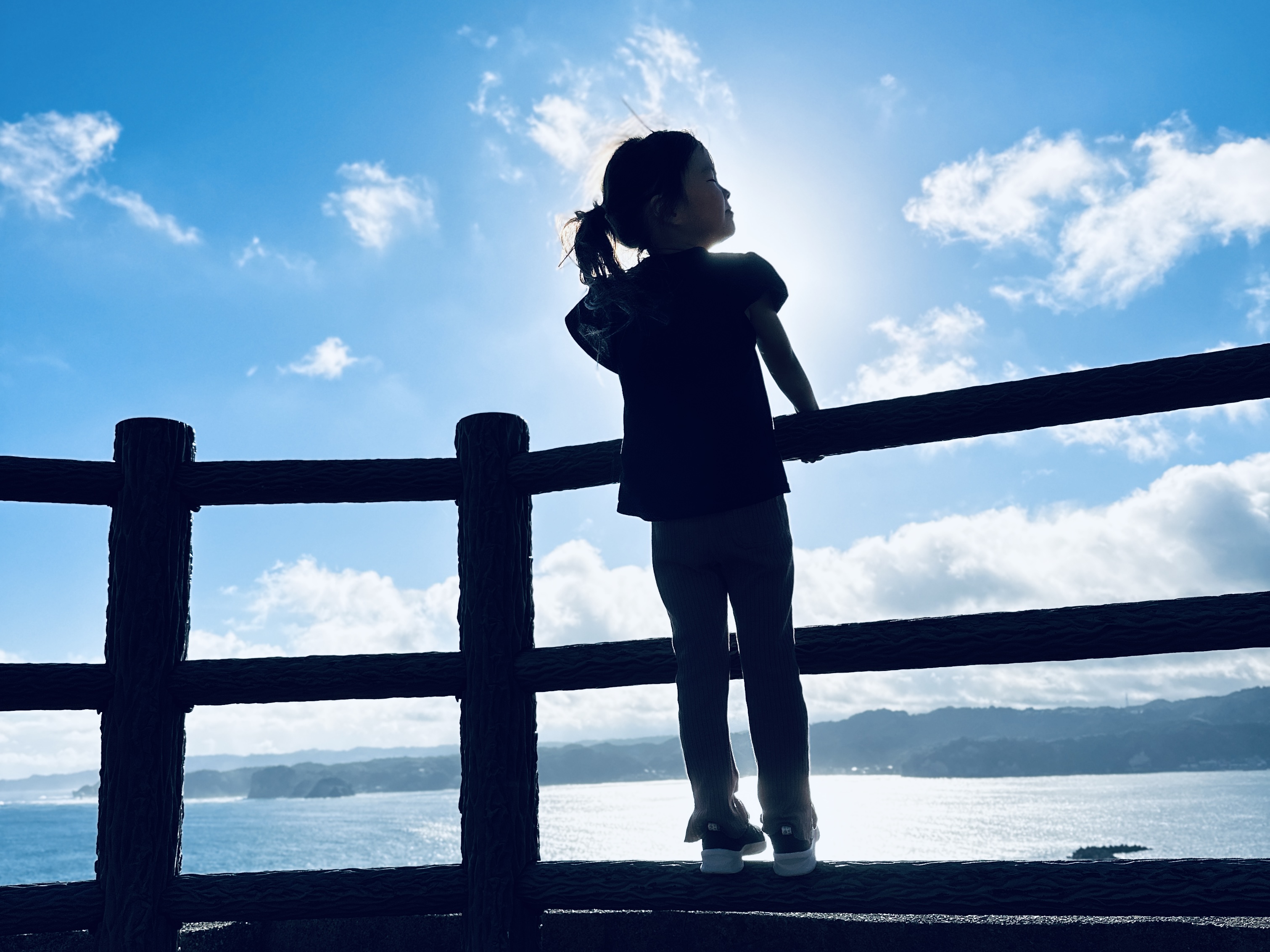 夏休み、5歳娘に私の「推し活」を見せたらこうなった