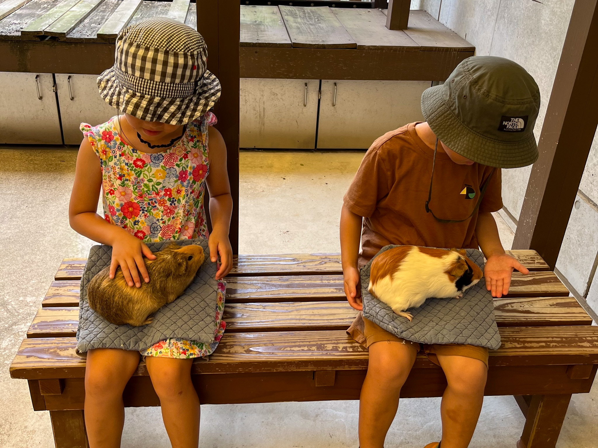 【板橋】無料でポニー乗馬＆ヤギのえさやり！公園内の小さな動物園