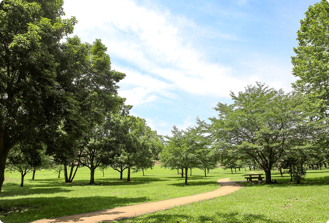 画像：狭山公園