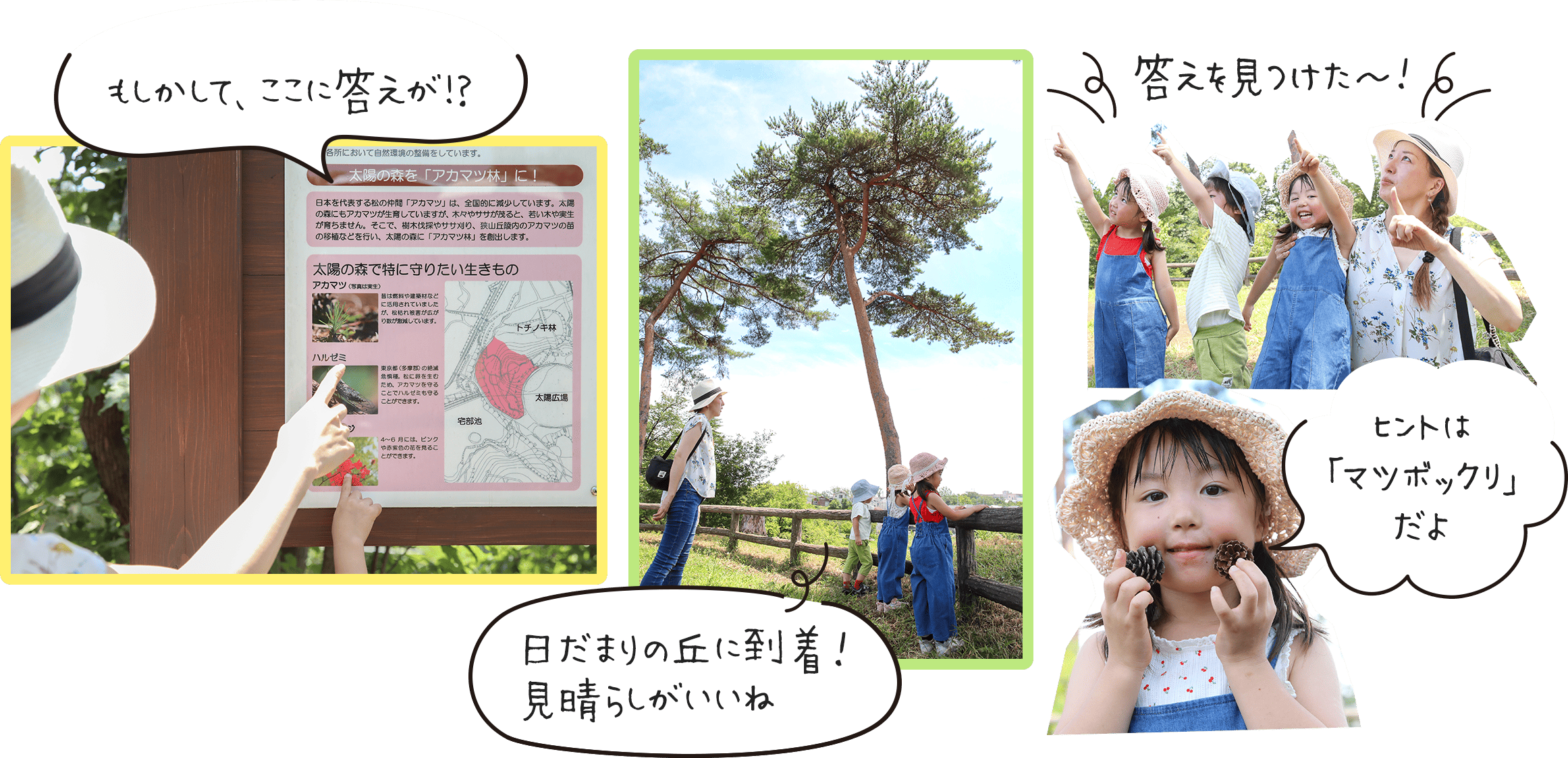 画像：子どもたち「もしかして、ここに答えが！？」「日だまりの丘に到着！見晴らしがいいね」「答えをみつけた～！」「ヒントは「マツボックリ」だよ」