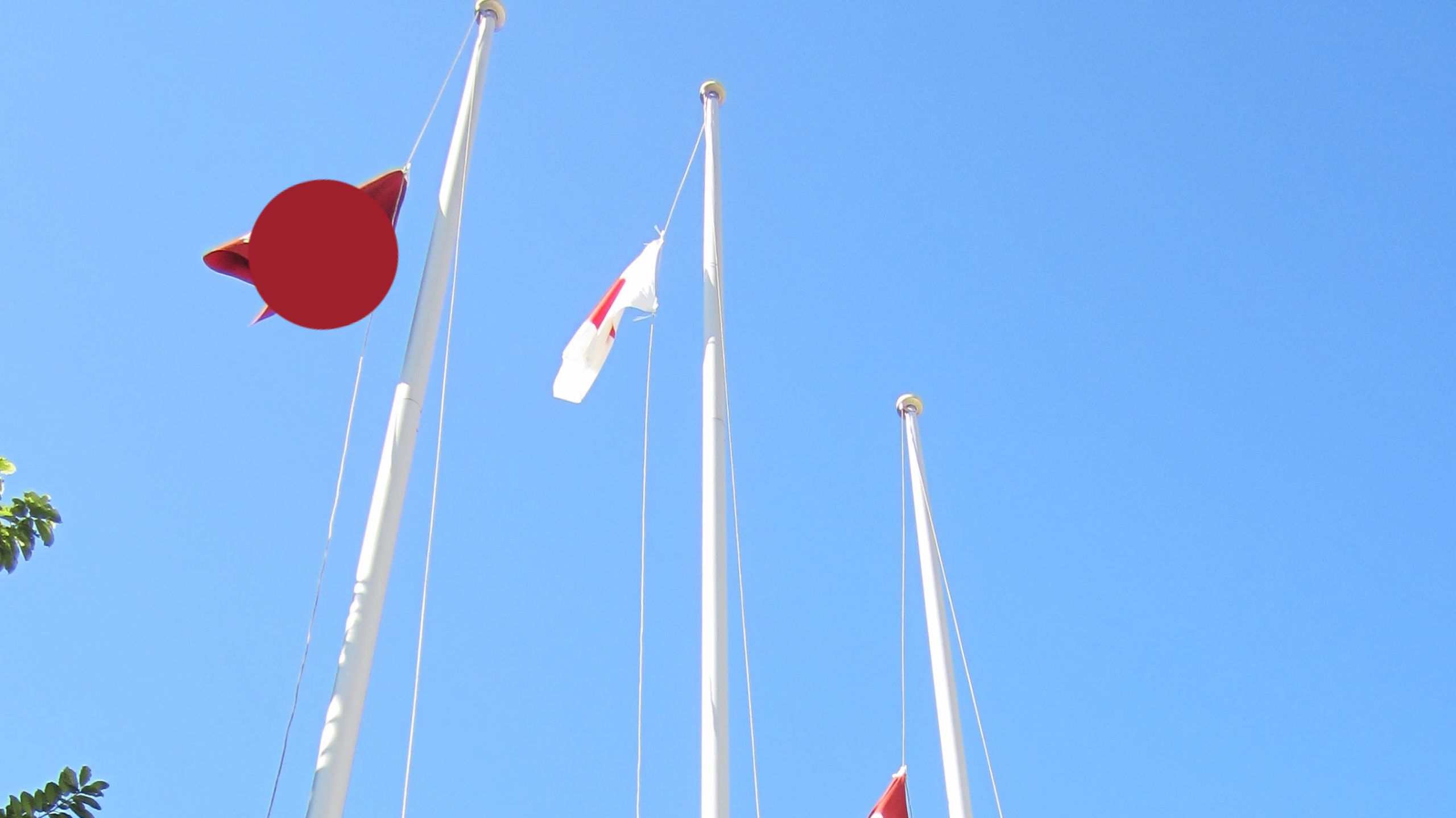 かけっこはいつもドベ。運動音痴のわたしがものすごく褒められた運動会の記憶